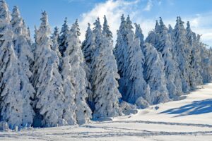 腸もみのやり方とその効果はどのようなものですか？