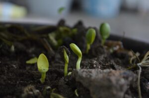 便秘解消に必要な水分量はどのくらい？
