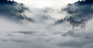 腸もみの効果的なやり方は？