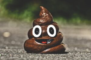 うんちを出す方法として効果的なツボはどれ？