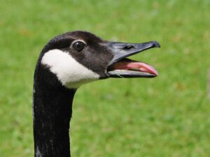 便意を抑えるツボを知って快適な外出を楽しむには？
