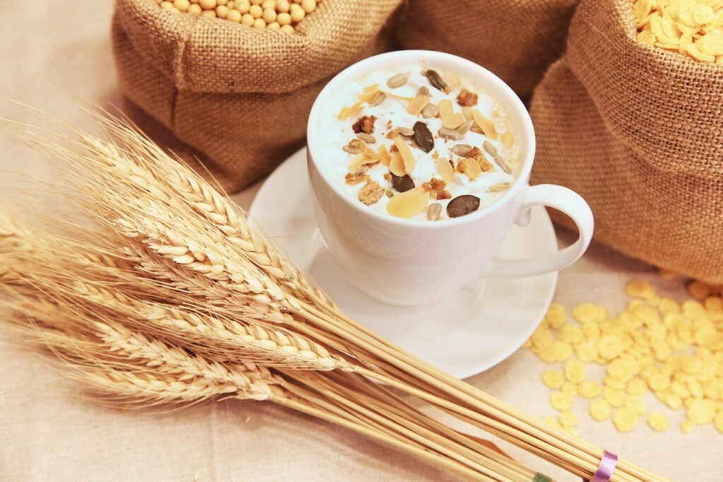 発酵食品を食べ過ぎると腸に悪いのは本当ですか？