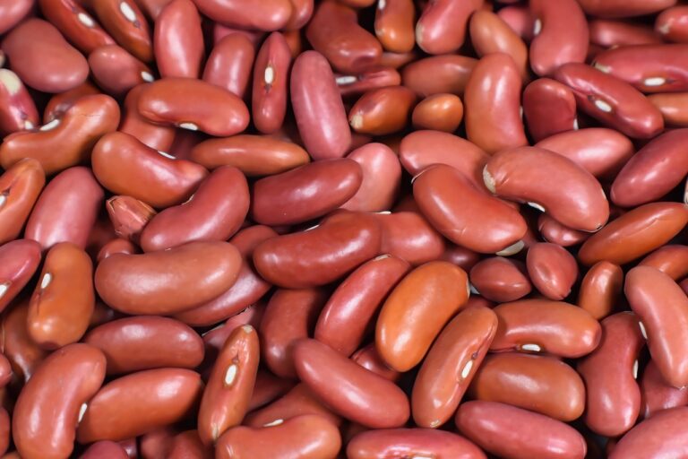 肌荒れと便秘を同時に改善するための食事は？